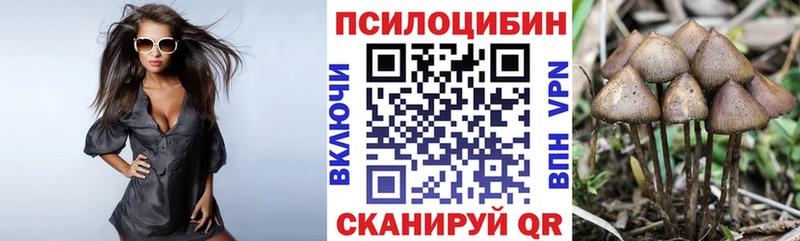 как найти   Бежецк  гидра сайт  Галлюциногенные грибы мицелий 